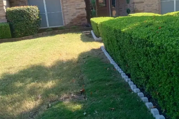 Eris Landscaping's Other Services