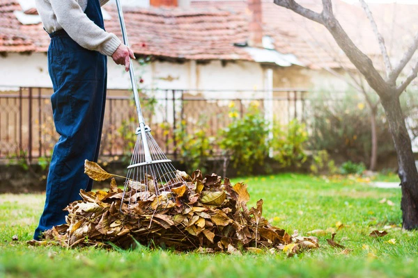 Leaf Cleanup
