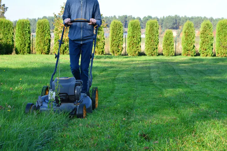How Professional Lawn Mowing Enhances Curb Appeal Fort Worth TX