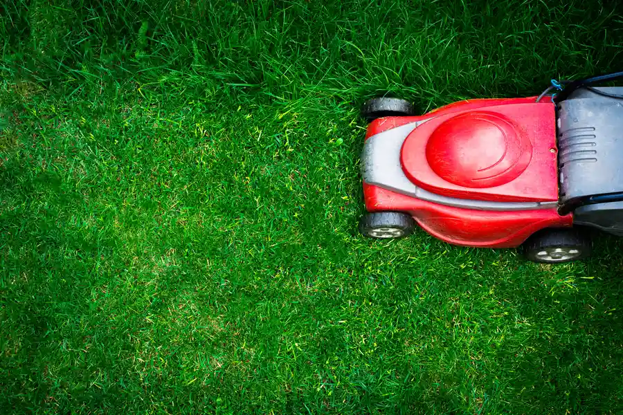 Importance Of Regular Lawn Mowing For Healthy Grass Growth in Fort Worth TX