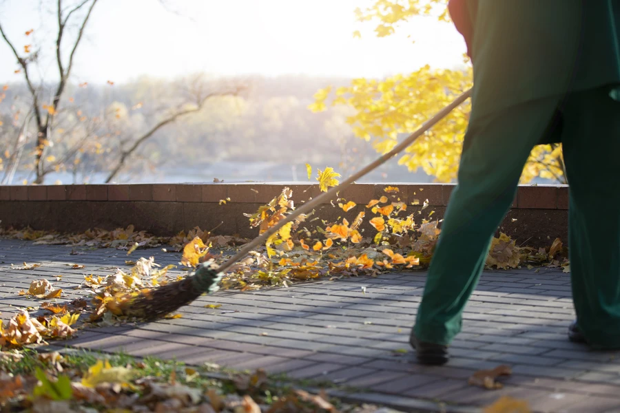 The Impact Of Neglected Leaves On Lawn Care Fort Worth TX