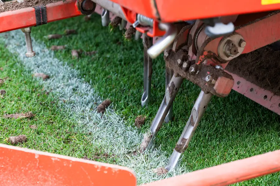 The Importance Of Lawn Aeration For Soil Health Fort Worth TX