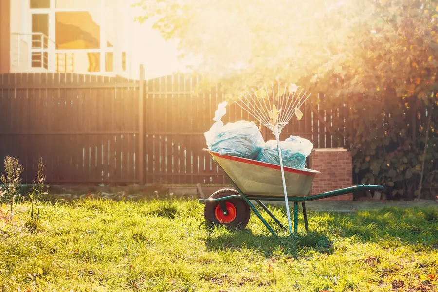 The Importance Of Yard Cleanup For Maintaining Healthy Plants in Fort Worth TX